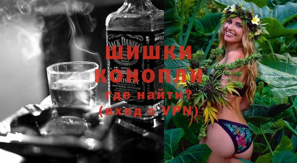 дживик Белокуриха