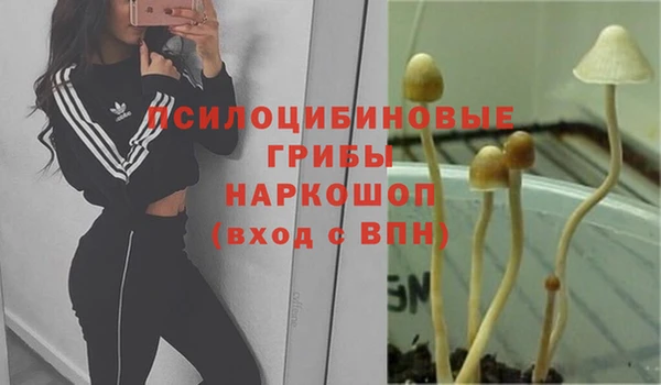 дживик Белокуриха