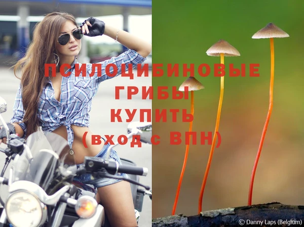 дживик Белокуриха
