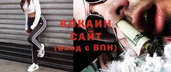 дживик Белокуриха